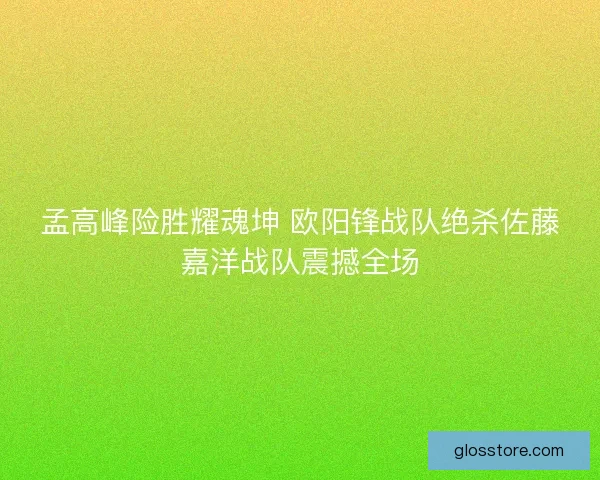 孟高峰险胜耀魂坤 欧阳锋战队绝杀佐藤嘉洋战队震撼全场