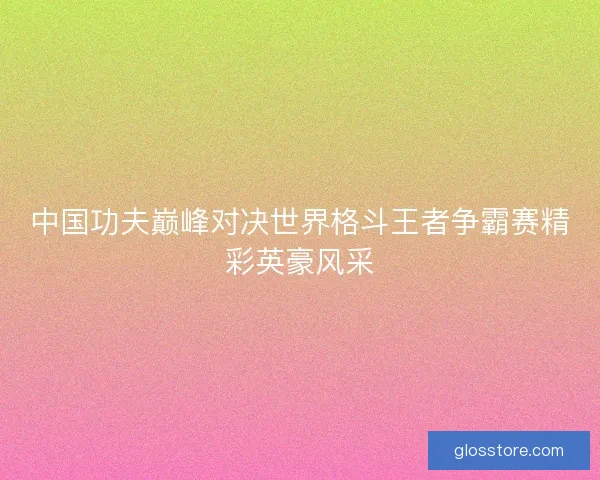 中国功夫巅峰对决世界格斗王者争霸赛精彩英豪风采